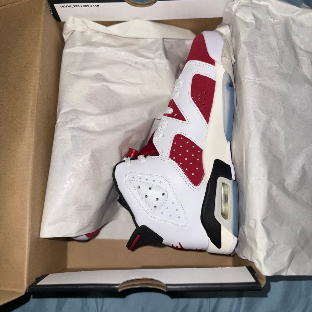Jordan 6 Carmines 2021